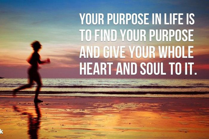 Finding your purpose in life