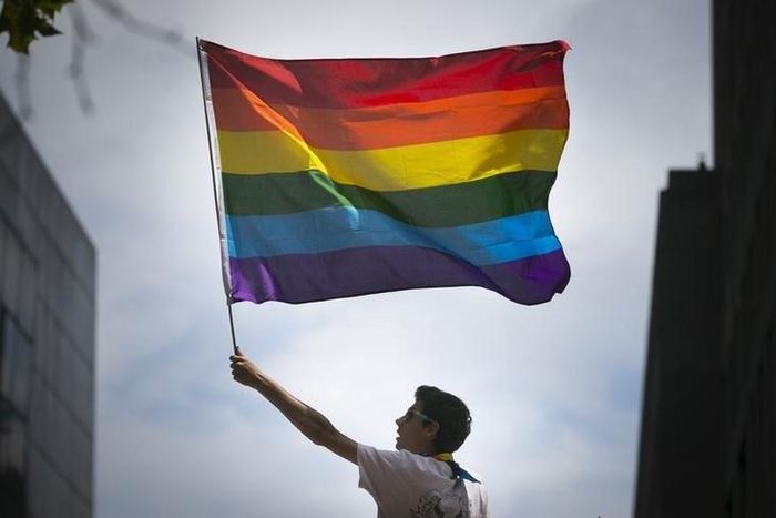 A man waves a rainbow flag while observing a gay pride parade in San Francisco, California June 28, 2015. REUTERS/Elijah Nouvelage
