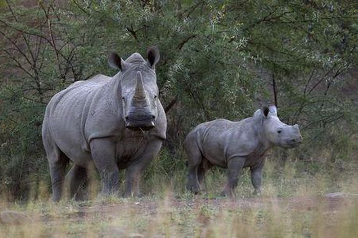 Female anti-poachers call on U.N. to protect natural resources