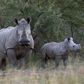 Female anti-poachers call on U.N. to protect natural resources