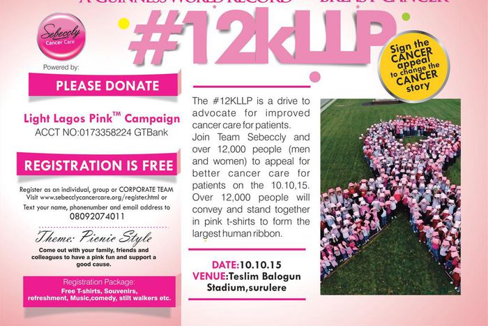 ___4242923___https:______static.pulse.com.gh___webservice___escenic___binary___4242923___2015___10___8___18___A+Guinness+world+record+for+breast+cancer_1