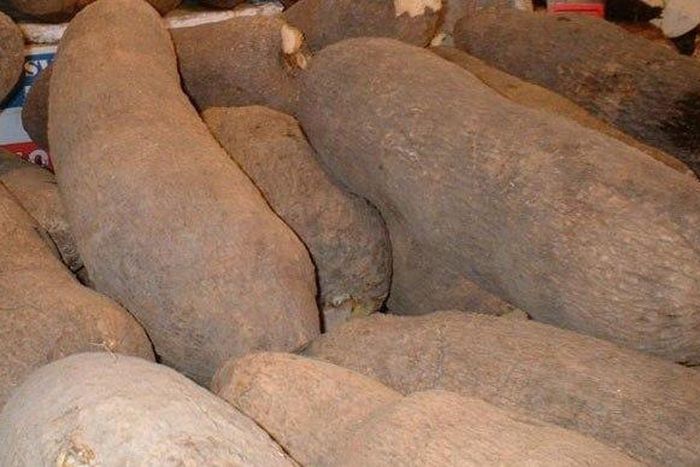 Court remands tiler for allegedly stealing 10 tubers of yam