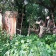 Soldiers clear Boko Haram camps near Sambisa Forest in Borno State