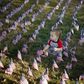 A baby sits in a field of flags to honor victims of the September 11, 2001 attacks, in Santa Clarita, California, September 11, 2015.   REUTERS/Lucy Nicholson
