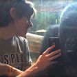The incredible footage shows a boy scrolling through his phone's photo album as the gorilla watches intently.