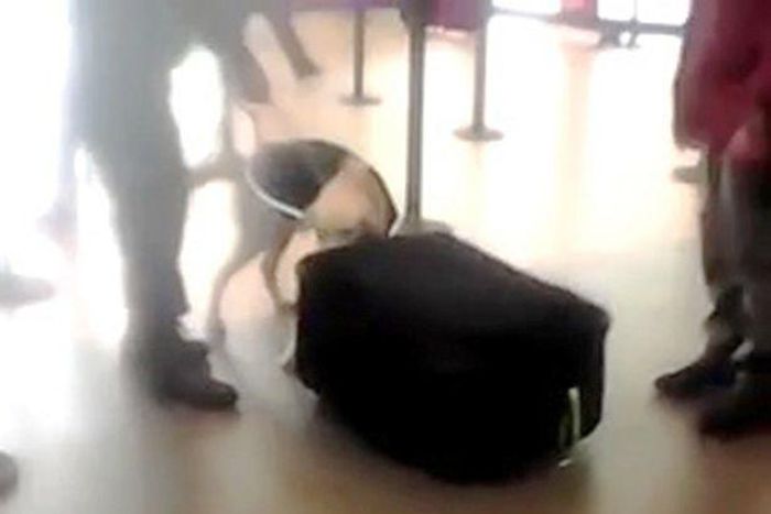 A man is apparently caught trying to smuggle himself out of Peru in a suitcase to evade airport security checks.