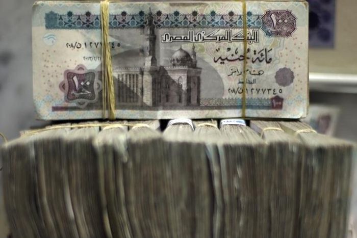 Egypt's pound notes are pictured in stacks of 100 as employees count money at an exchange office in downtown Cairo June 5, 2014.  REUTERS/Amr Abdallah Dalsh