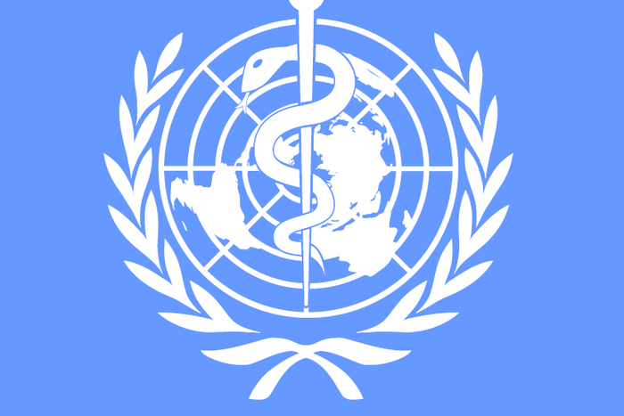 ___4335591___https:______static.pulse.com.gh___webservice___escenic___binary___4335591___2015___11___7___17___WHO