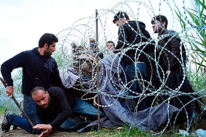 Hungary won't shoot at migrants crossing fence - Orban