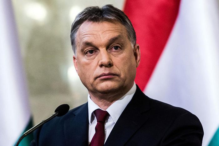 Hungarian Prime Minister, Viktor Orban