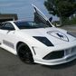 the "Lamborghini"