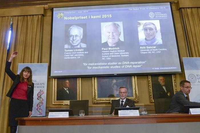 Professors Sara Snogerup Linse, Goran K. Hansson and Claes Gustafsson, members of the Nobel Assembly, talk to the media at a news conference at the Royal Swedish Academy in Stockholm October 7, 2015. Sweden's Tomas Lindahl, the U.S.-based Paul Modrich ...