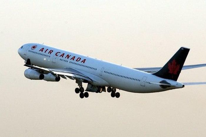 An Air Canada pilot went viral after he diverted an international flight to save the life of a small dog traveling in the plane’s cargo hold.