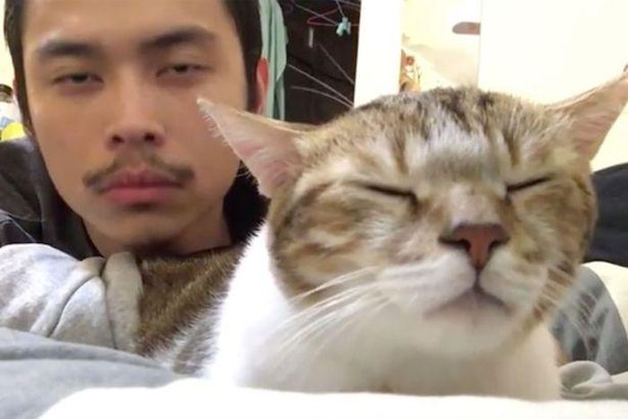 Funky Cat goes viral after dancing to Drake's hit song