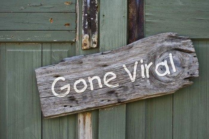 ___4077509___https:______static.pulse.com.gh___webservice___escenic___binary___4077509___2015___8___17___12___viral-video-facts-660x369