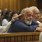 Pistorius killed our daughter deliberately - Steenkamps