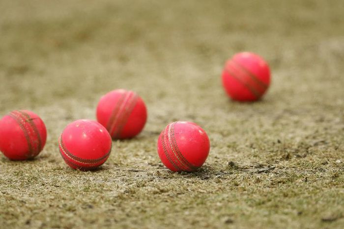 ___4393153___https:______static.pulse.com.gh___webservice___escenic___binary___4393153___2015___11___25___19___adelaideovalcropped_17vbwvs2z94x81ad82tdqsgmgt