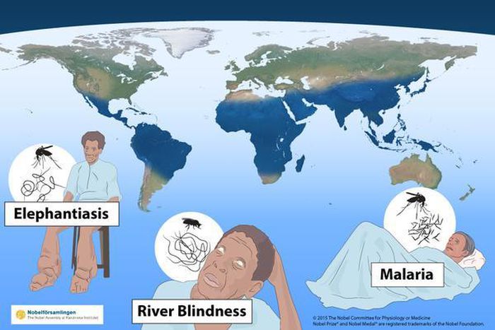 Nobel medicine prize awarded for work on parasitic diseases