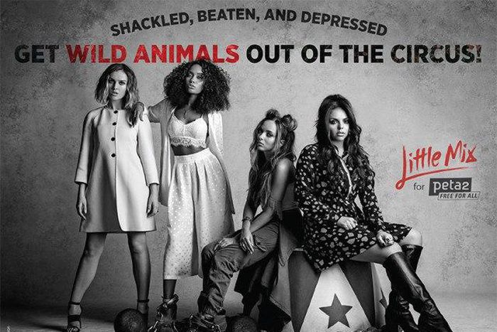 Little Mix joins PETA2 to call for the release of animals from circuses
