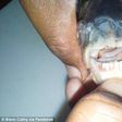 Two fish with human like teeth bit the bait last week in California leaving a local woman wondering if it could be a piranha or other carnivorous fish 
