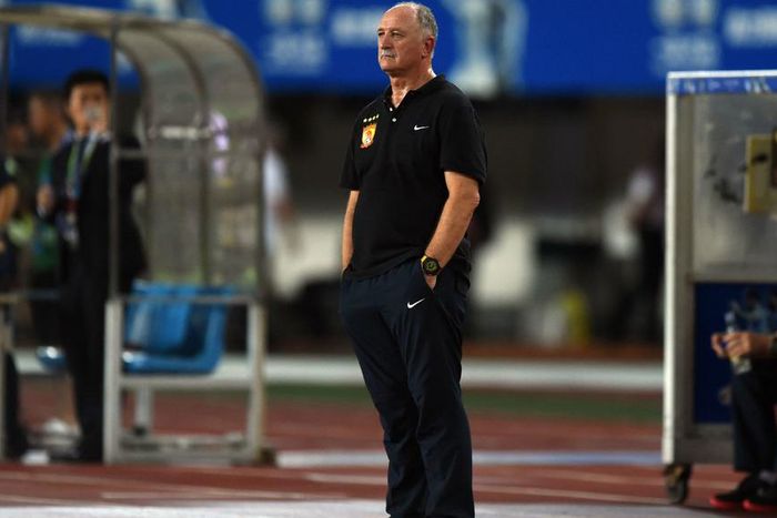 ___4171375___https:______static.pulse.com.gh___webservice___escenic___binary___4171375___2015___9___15___23___scolari-cropped_t9bchgw659ys18r4leet6pohj