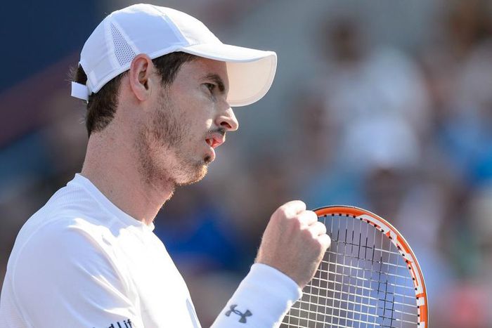 Andy Murray ends Novak Djokovic dominance