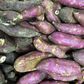 Sweet potato is displayed in a market in Recife June 30, 2014. REUTERS/Tony Gentile