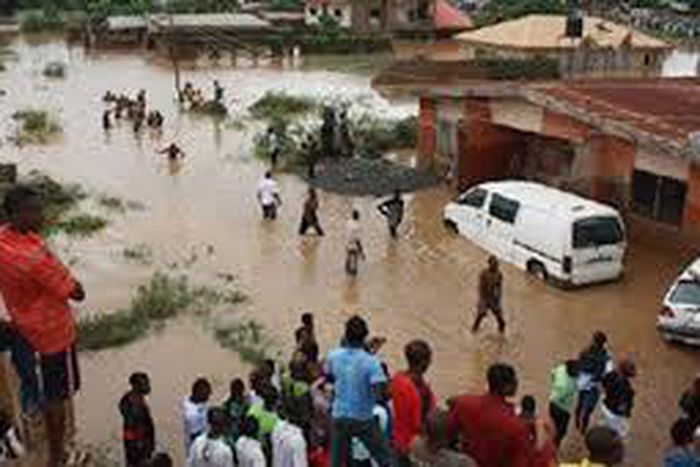 11 die, 86, 710 hectares of farmland destroyed by flood in Sokoto, Kebbi, Zamfara -- NEMA