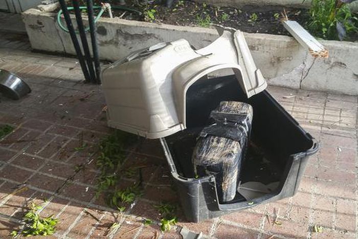 Bundle of Marijuana worth $10,000 drops from the sky crashing into family house