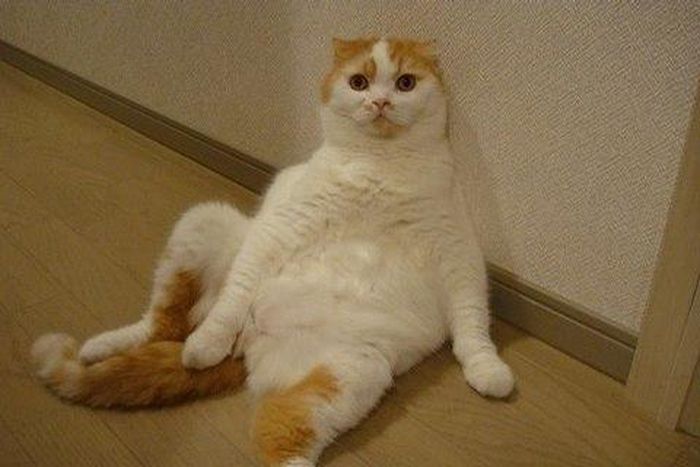 ___4079125___https:______static.pulse.com.gh___webservice___escenic___binary___4079125___2015___8___17___17___enhanced-buzz-8704-1328147221-46