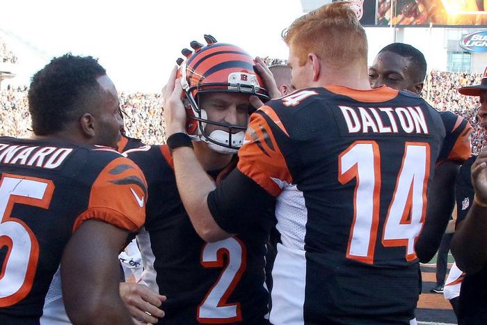 Cincinnati Bengals rally to stay perfect, New England Patriots cruise