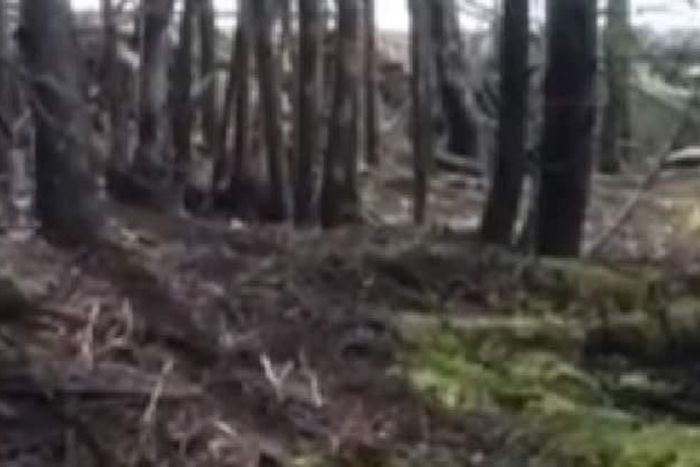 The Earth was filmed moving and breathing like a sleeping giant