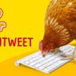 The aim is to get Betty the chicken into the Guinness World Record as the first tweeting chicken.