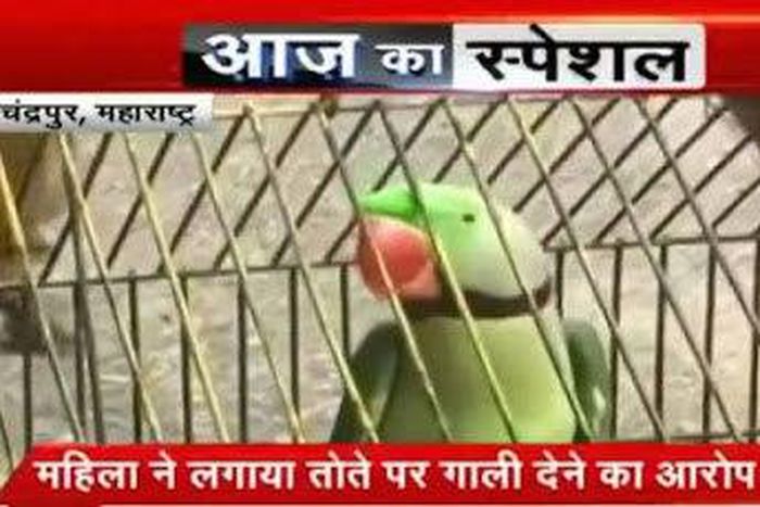 ___4088092___https:______static.pulse.com.gh___webservice___escenic___binary___4088092___2015___8___20___10___1