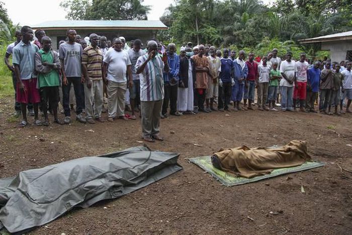 ___4190991___https:______static.pulse.com.gh___webservice___escenic___binary___4190991___2015___9___22___13___706x410q70ebola-system-under-strains