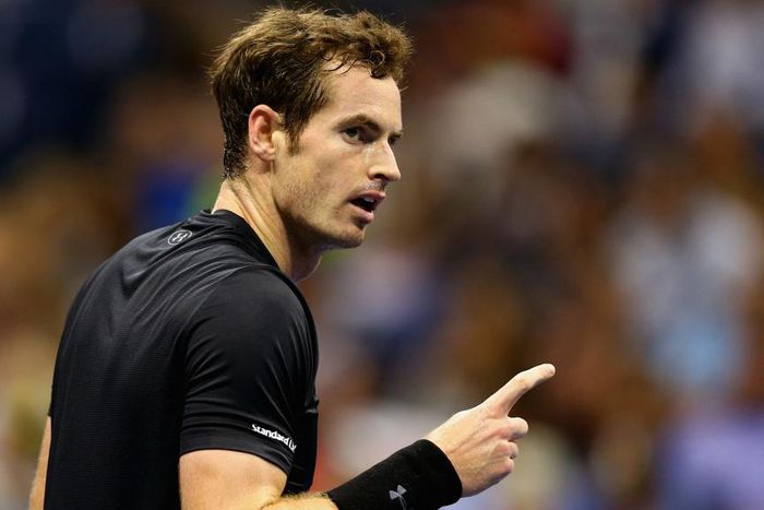 ___4140923___https:______static.pulse.com.gh___webservice___escenic___binary___4140923___2015___9___6___14___andy-murray-cropped_1p85hptvffxmt1doat1kfuw1v7_2