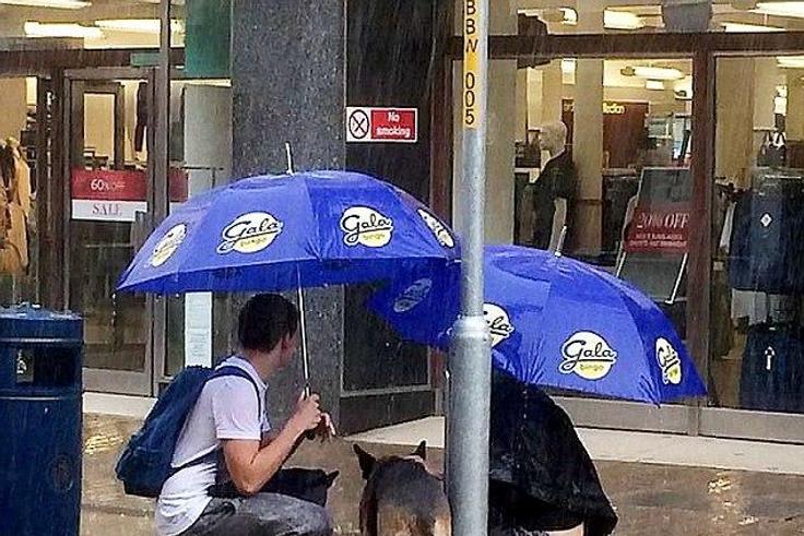 Couple get soaked to the skin helping a stranger's dog that was left in the rain
