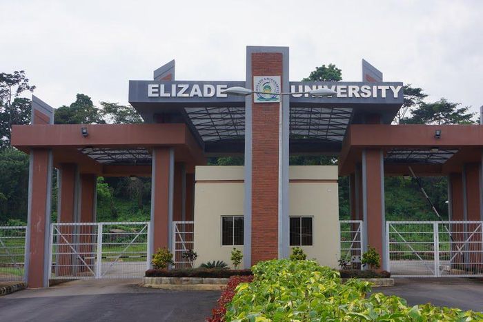 Elizade University