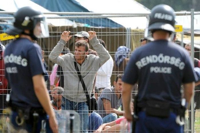 Dutch govt says taking more refugees is only temporary fix