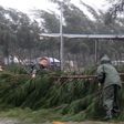 China typhoon kills six, knocks out power as tornado snaps trees