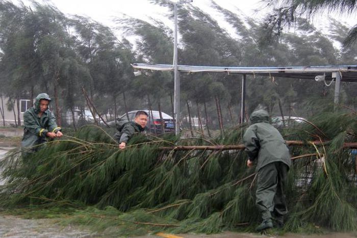 China typhoon kills six, knocks out power as tornado snaps trees