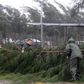 China typhoon kills six, knocks out power as tornado snaps trees