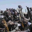 Army captures, de-radicalises over 200 Boko Haram insurgents in Adamawa, says Commander