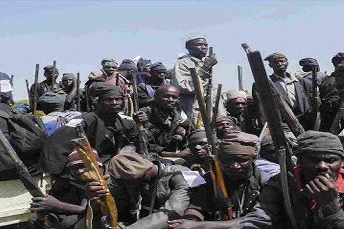 Army captures, de-radicalises over 200 Boko Haram insurgents in Adamawa, says Commander