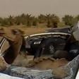 Camel breaks windscreen so that he could sit in car and drive