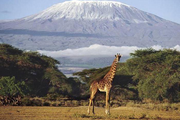 ___4171492___https:______static.pulse.com.gh___webservice___escenic___binary___4171492___2015___9___15___21___tanzania