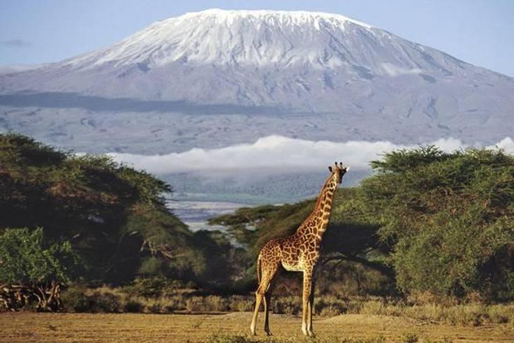 ___4171492___https:______static.pulse.com.gh___webservice___escenic___binary___4171492___2015___9___15___21___tanzania