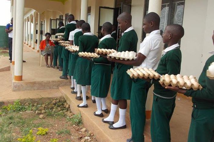 Students of Suubi Secondary and Vocational College in Lubanda, Lwengo District of Uganda, contribute to the payment of their own school fees by bringing five eggs a day to school