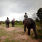 A small village in northeast Thailand has become a popular attraction after beautiful pictures emerged of Elephants and people staying side-by-side.