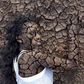 Dry-skin